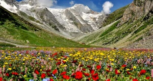 valley-of-flowers-trek